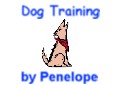 Dog Training By Penelope