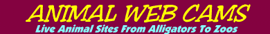 390x50 banner-b