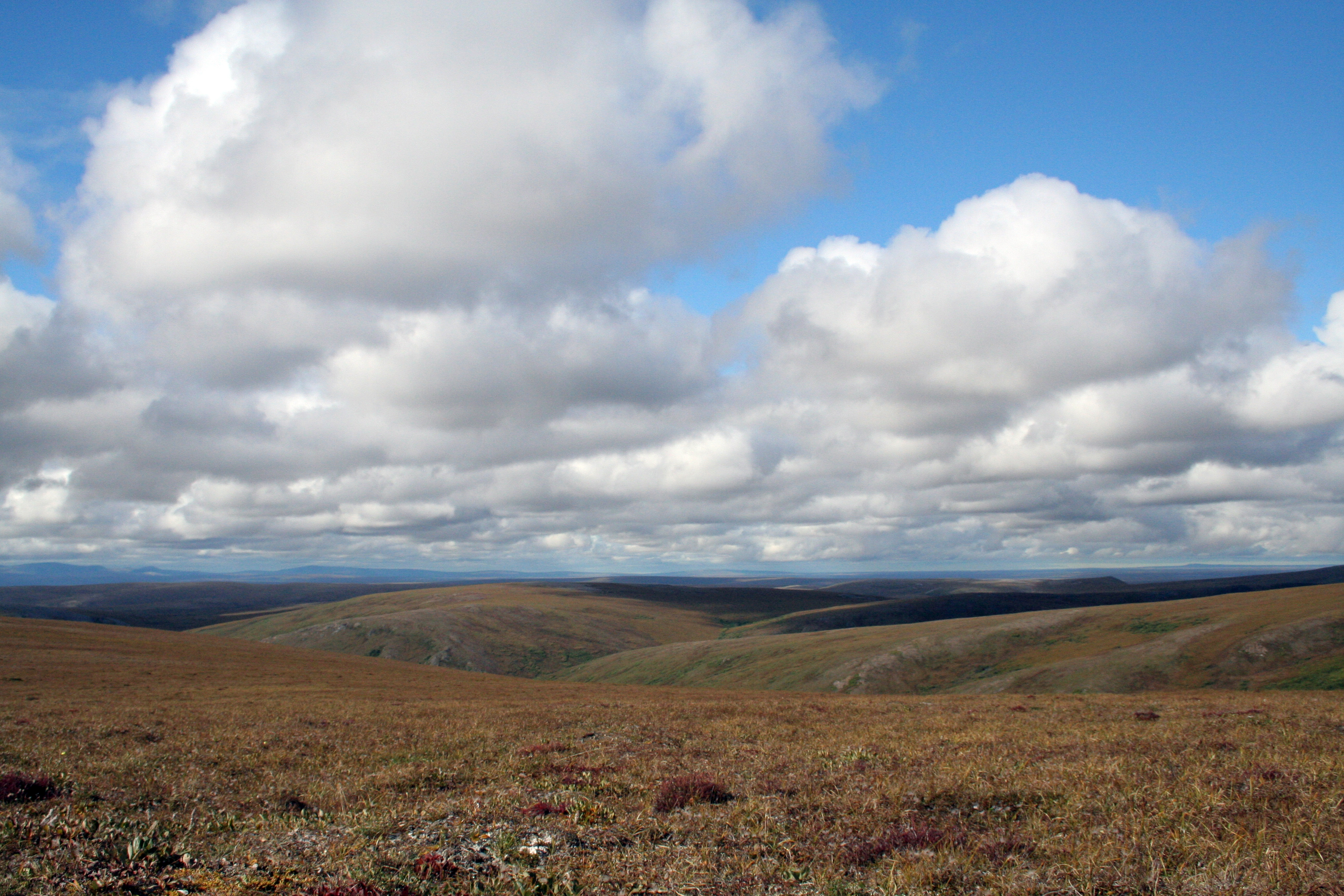 Bering Land Bridge National Preserve Photo